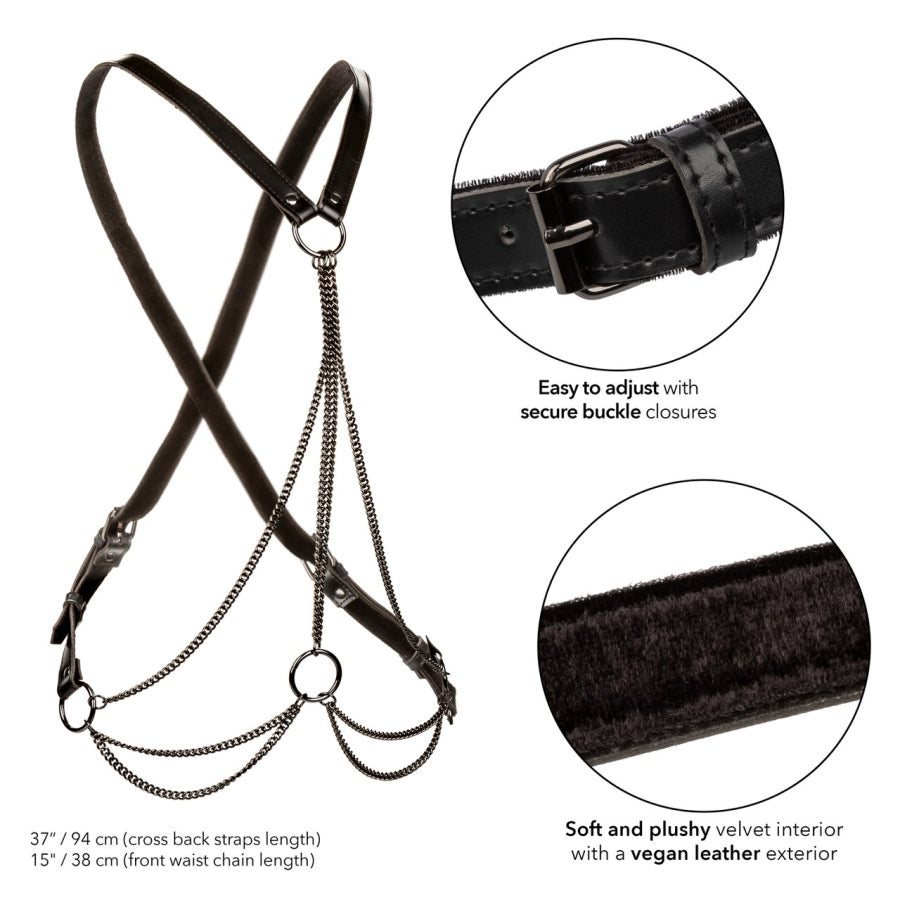 Euphoria - Chain Harness