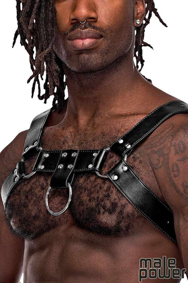 Leather Chest Harness