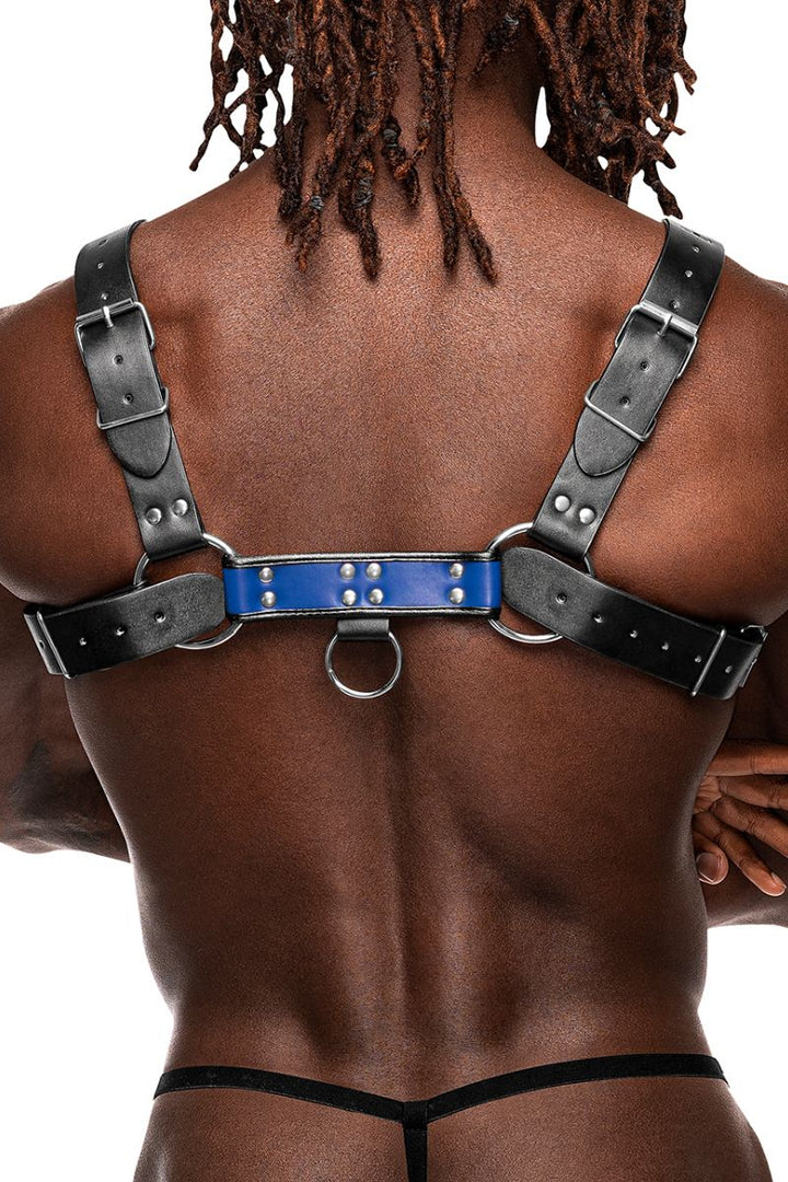 Leather Chest Harness