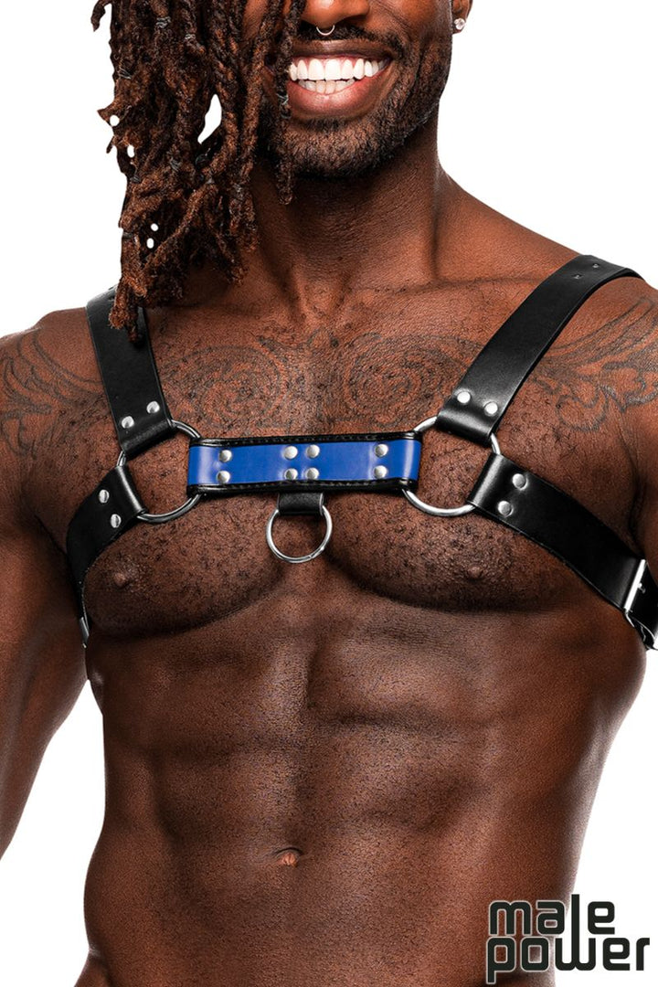 Leather Chest Harness