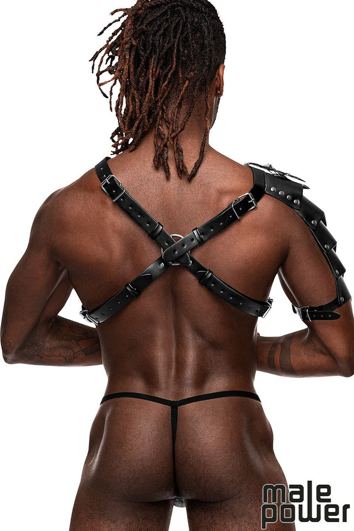 Gladiator Harness with Protection