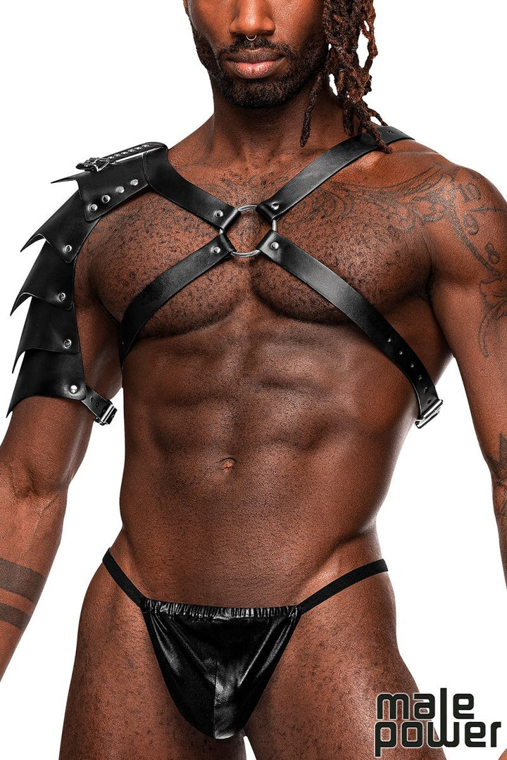 Gladiator Harness with Protection