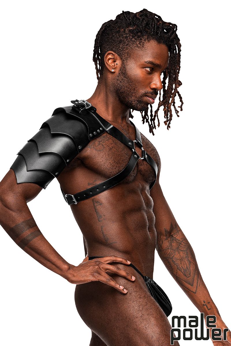 Gladiator Harness with Protection