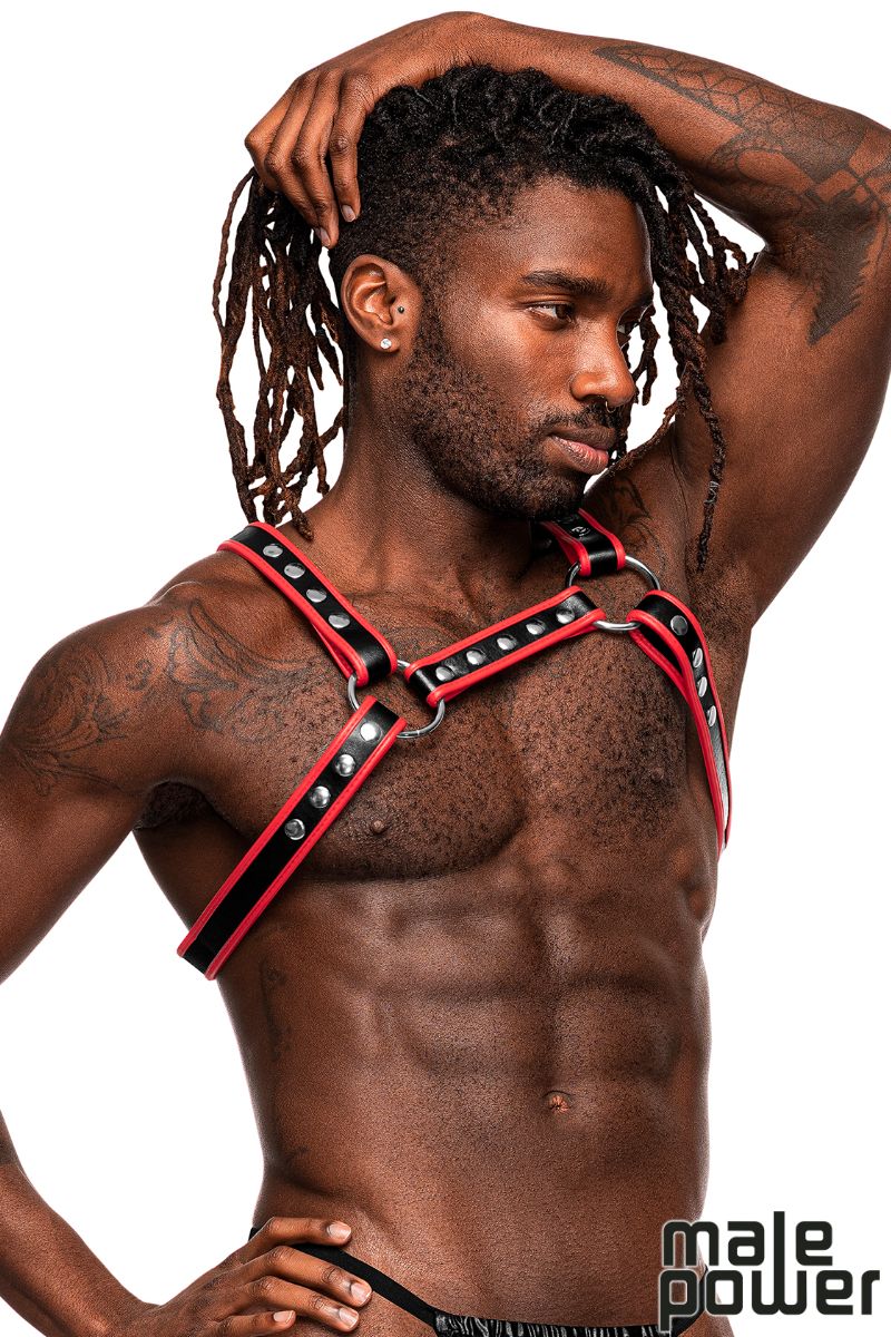 Chest Harness - Red &amp; Black