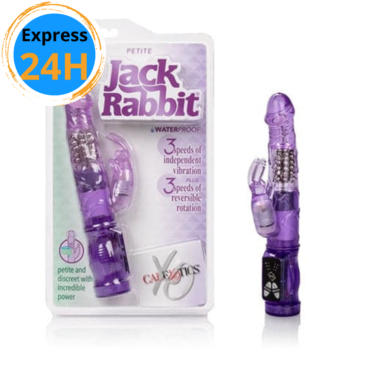 Petite Jack Rabbit - Purple