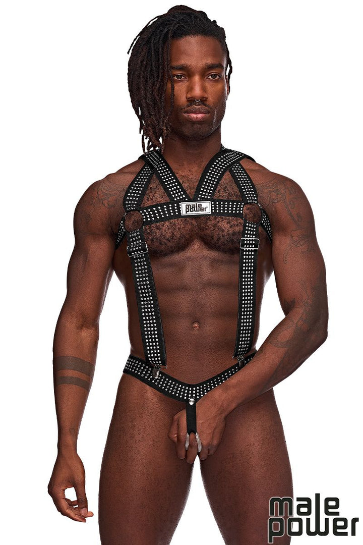 Stallion harness