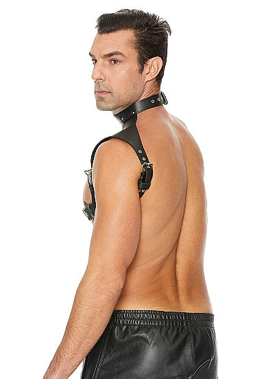 Chest harness with collar